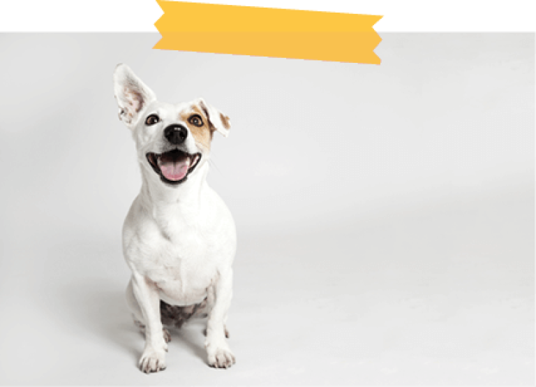 TakeaClass_Body_Beginner