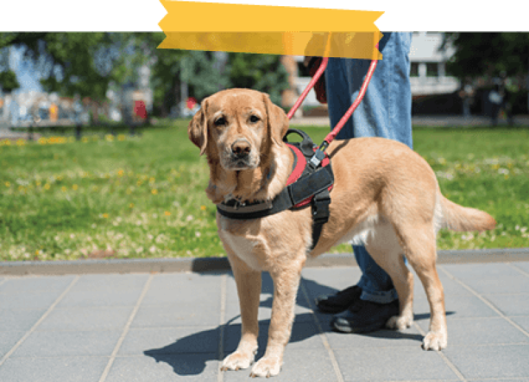 TakeaClass_Body_Servic